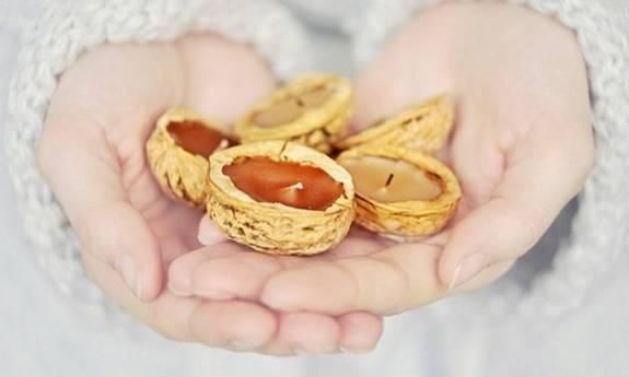 保证|吃完的坚果不能丢,坚果壳变身记,保证创意一箩筐