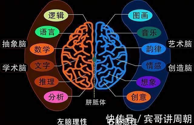 开窍|为什么男孩大多开窍晚?婴儿时期,男宝的大脑发育就已落后于女孩