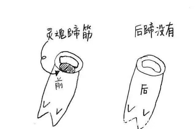 屠夫|买猪蹄，“前后”差别很大，老屠夫教你3招，新鲜又好吃，不上当