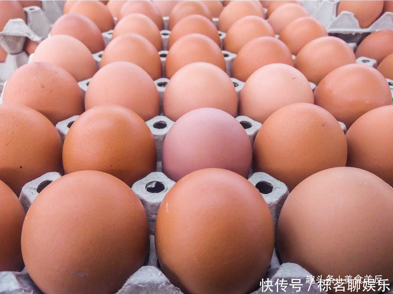 储存|牛奶和鸡蛋不要放在冰箱门里18种错误储存食品和食材的方法