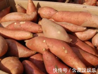 红薯容易放坏该怎么保存,老农教你3个方法,简单又实用