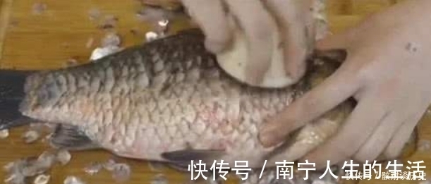 去鱼鳞别再用菜刀!大厨教你,加一些它,鱼鳞自己往下掉,好用!