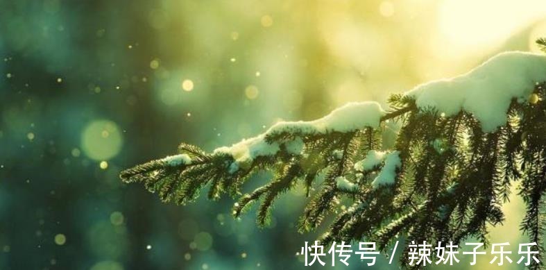 忆住一师！唐诗中最有禅意的一场雪，来自李商隐，无一生僻字却美得令人心醉