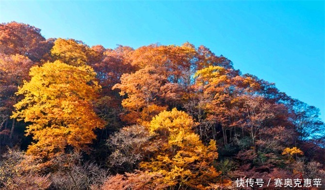  秋天|秦巴山区的旅游景点，夏天是天然氧吧，秋天是中国红叶之乡