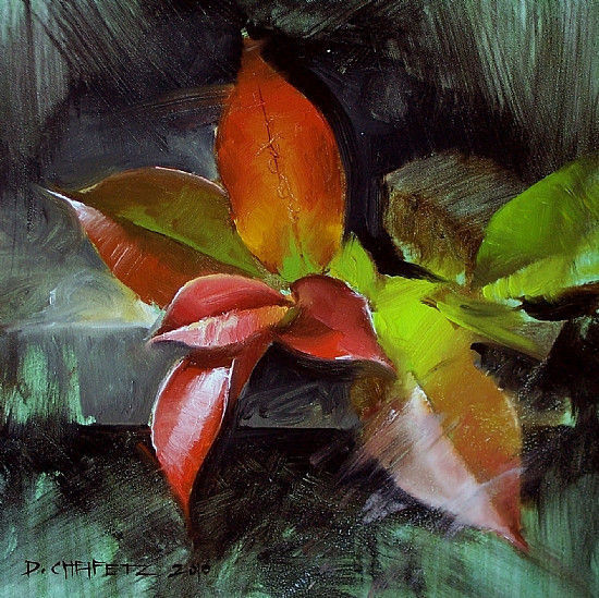 油画&笔触与色彩的乐章,美国画家谢菲兹的油画欣赏