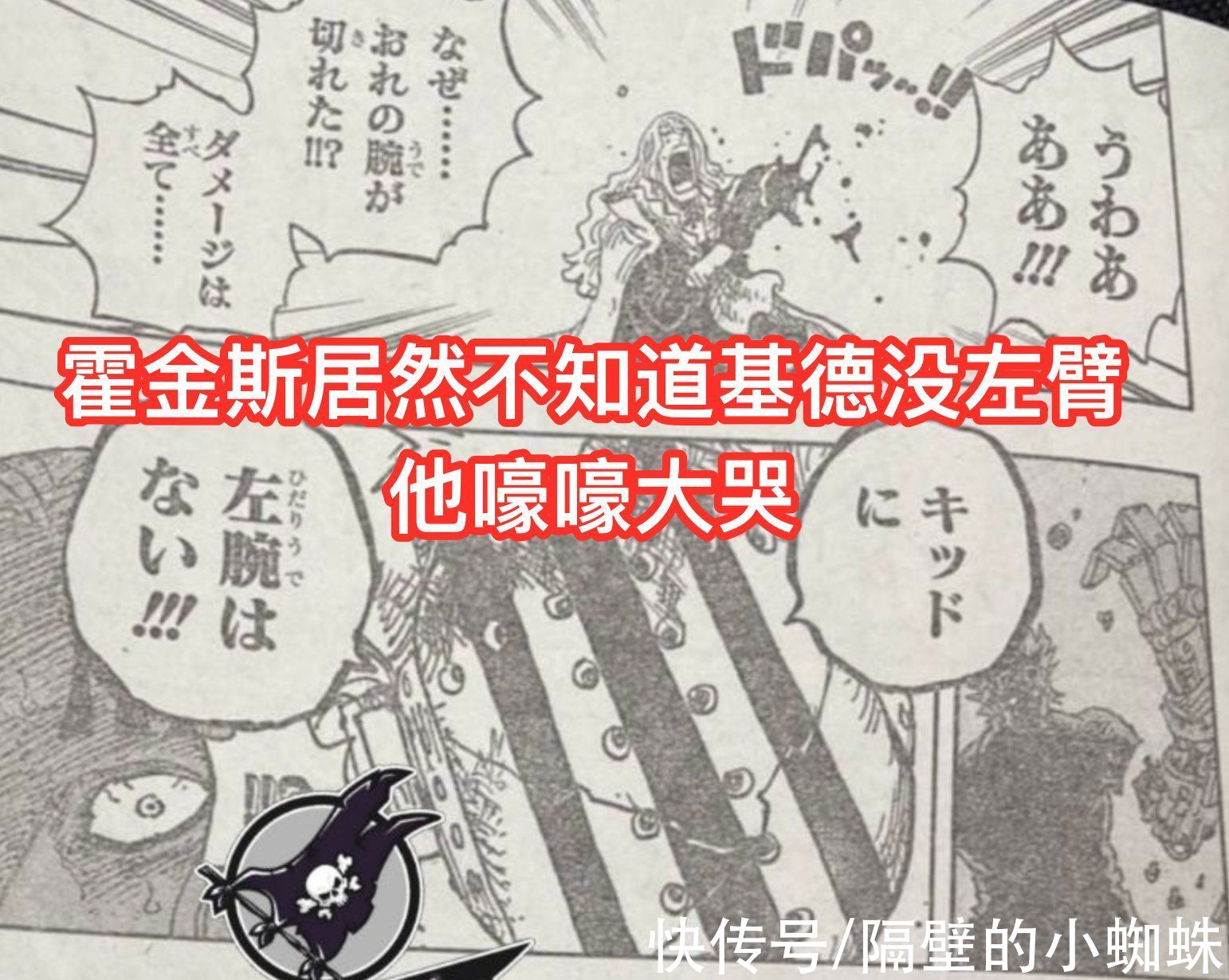 蜘蛛|海贼王1029话：尾田上演“PPT打斗”，基拉击败霍金斯，却不激情