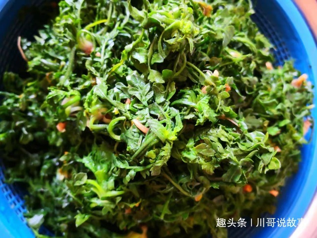 藏在身边的“刮油菜”，隔天吃一回，腰变细了，减脂，腿也瘦了