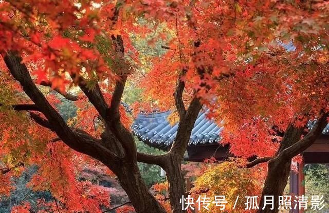 福报#千古奇文《心相篇》20句话,看透人性,诠释人生,百读不厌