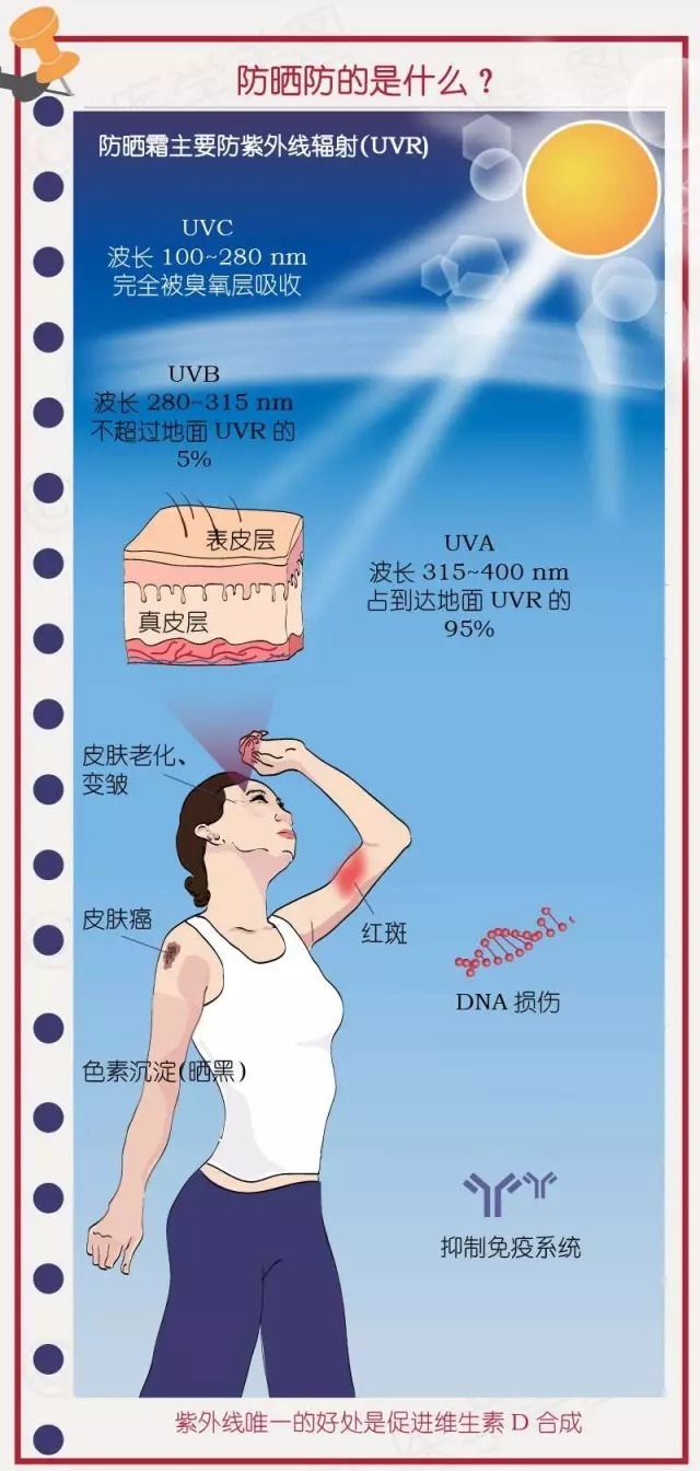 如何正确使用防晒霜？隔离霜和防晒霜有啥区别？