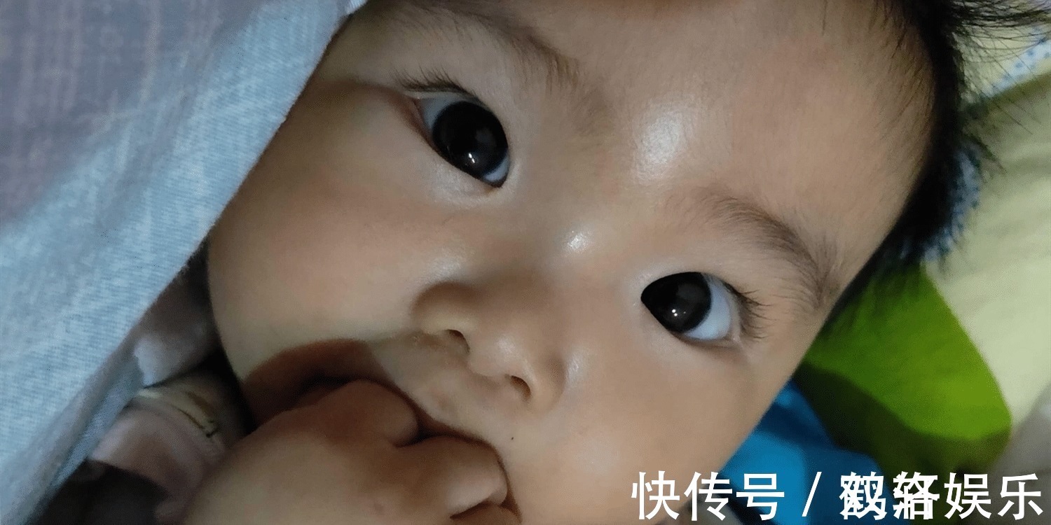 神奇的飞跃周|荷兰大学教授:娃必经的“大脑飞跃期”,辅食吃得棒,聪明又强壮