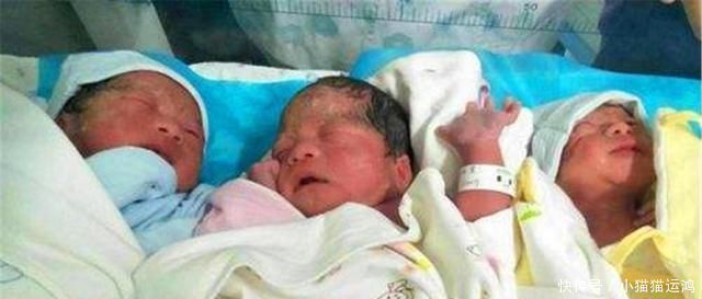 生双胞胎|以前双胞胎都很少见,为啥现在的人动不动就''一胎多子''涨知识