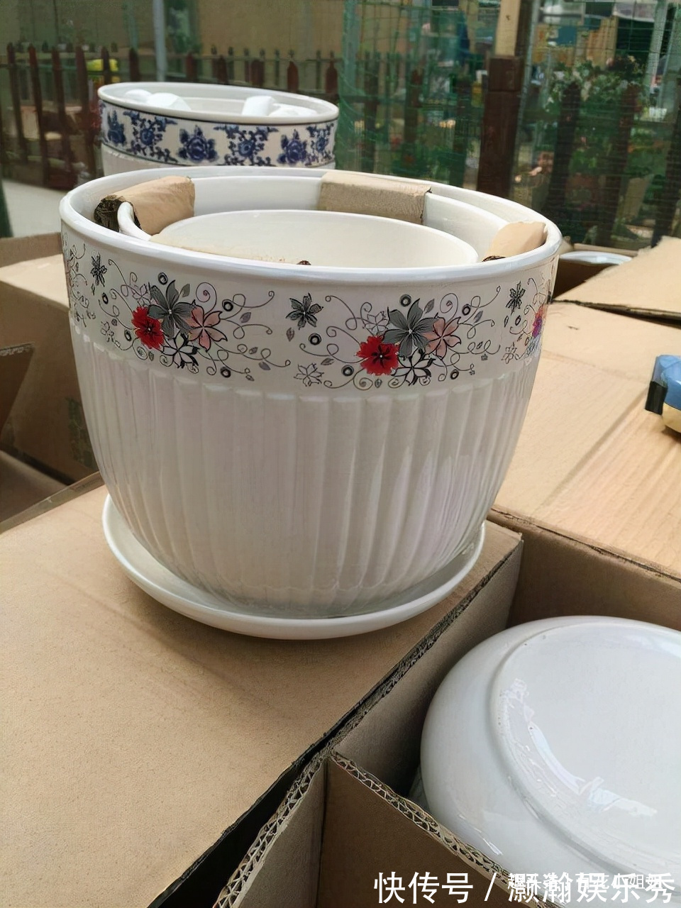 6种花盆,不适合养花,难怪长势不好,扔了吧