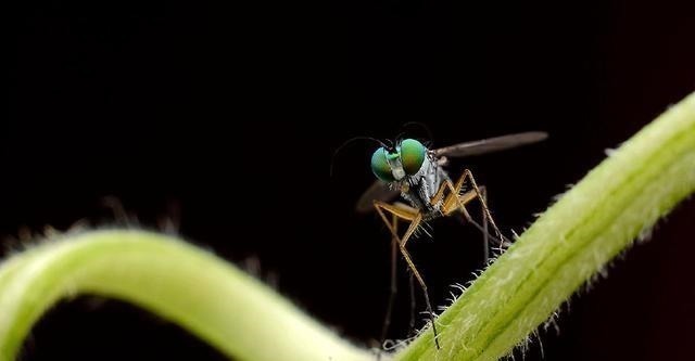 孙悟空#孙悟空手上还有一件武器,比金箍棒还要厉害,如来都十分忌惮