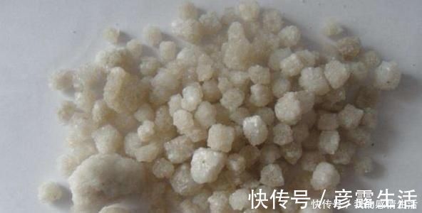 赘肉|赘肉太厚的女人,毛巾加一勺“粗盐”,减掉大肚腩,不用绝食减肥