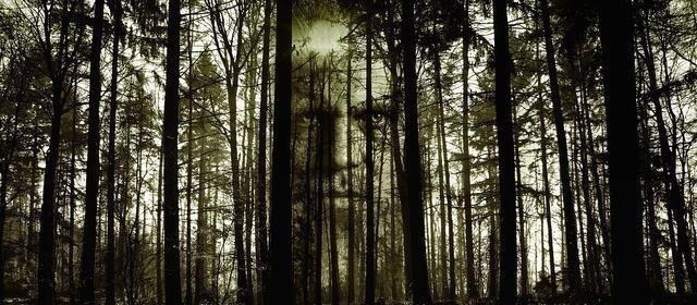 书迷们$4本读后酣畅淋漓的网络小说,跌宕起伏,开篇就让人惊艳不已!