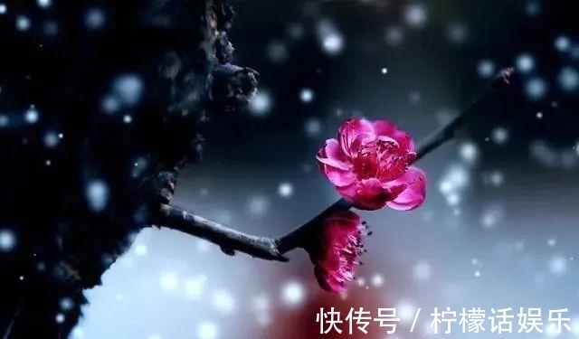 小寒#三首宋诗，三候小寒花信风，三个不同的启示。