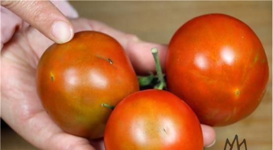 西红柿打不打激素?看一眼这个“小机关”就知道,看完别再乱买了
