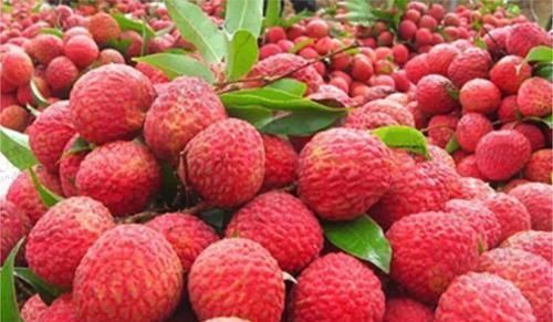 营养成分|会吃的人最健康,以下肉类要多吃,营养丰富,温中益气,补虚填精