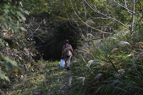 小屋|秦岭穿越走错路，意外发现不为人知的风景，这样的秦岭你见过吗