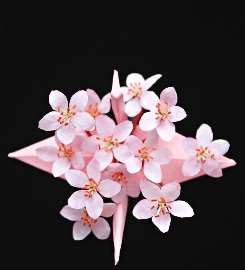 灵感$抑郁小哥把一只2毛钱的千纸鹤折成了我买不起的样子,不但病好了还年入百万