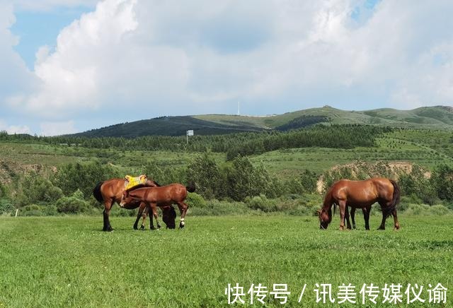 消夏|消夏避暑，走进沽源最美的季节