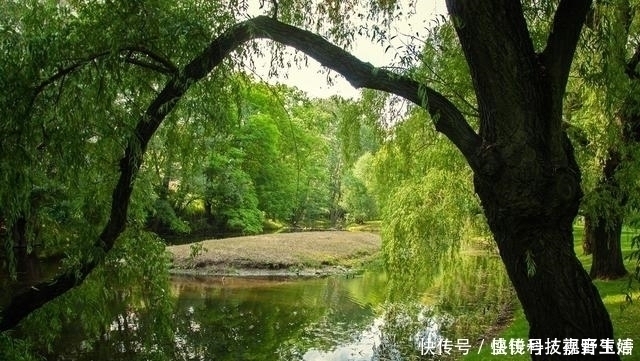 诗人$王维最感人的一首诗,句句都是千古名言,感动了历代无数的读者