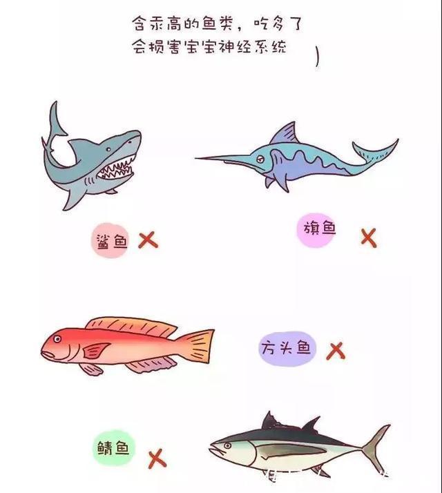 宝贝|8个月宝宝肠坏死,竟因吃错辅食…小宝贝不能吃这3种食物