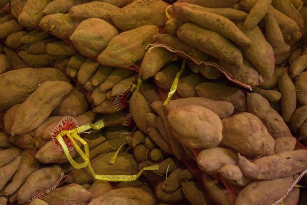 食物|红薯含糖量高吗血糖高的人吃红薯，血糖会升还是会降告诉你