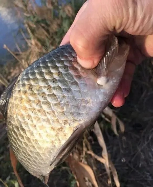 冬季什么天气好钓鱼？不管晴天阴天，只要这3个参数给力就好钓