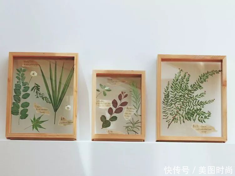 露台|130㎡大露台,花1年改造成“花草蔬果园”,体验屋顶上的田园生活