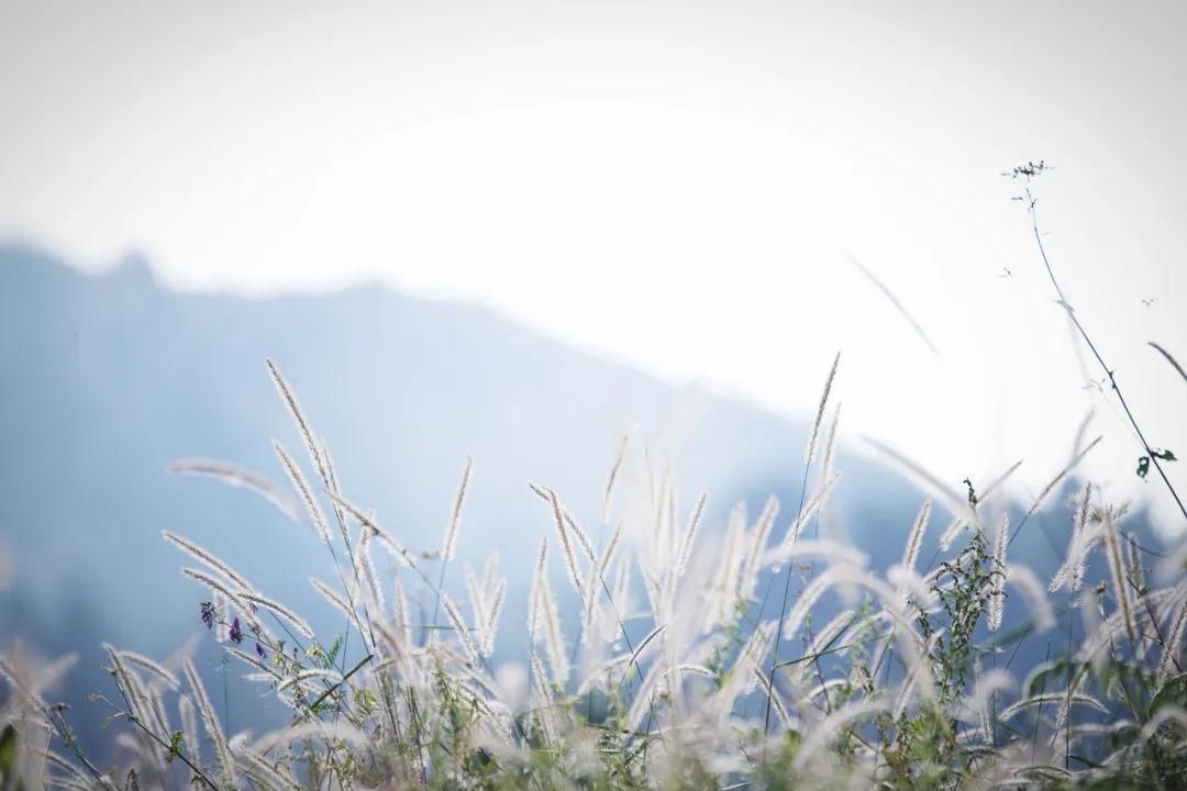 中医|荨麻疹（风疹）反反复复，中医这样防治