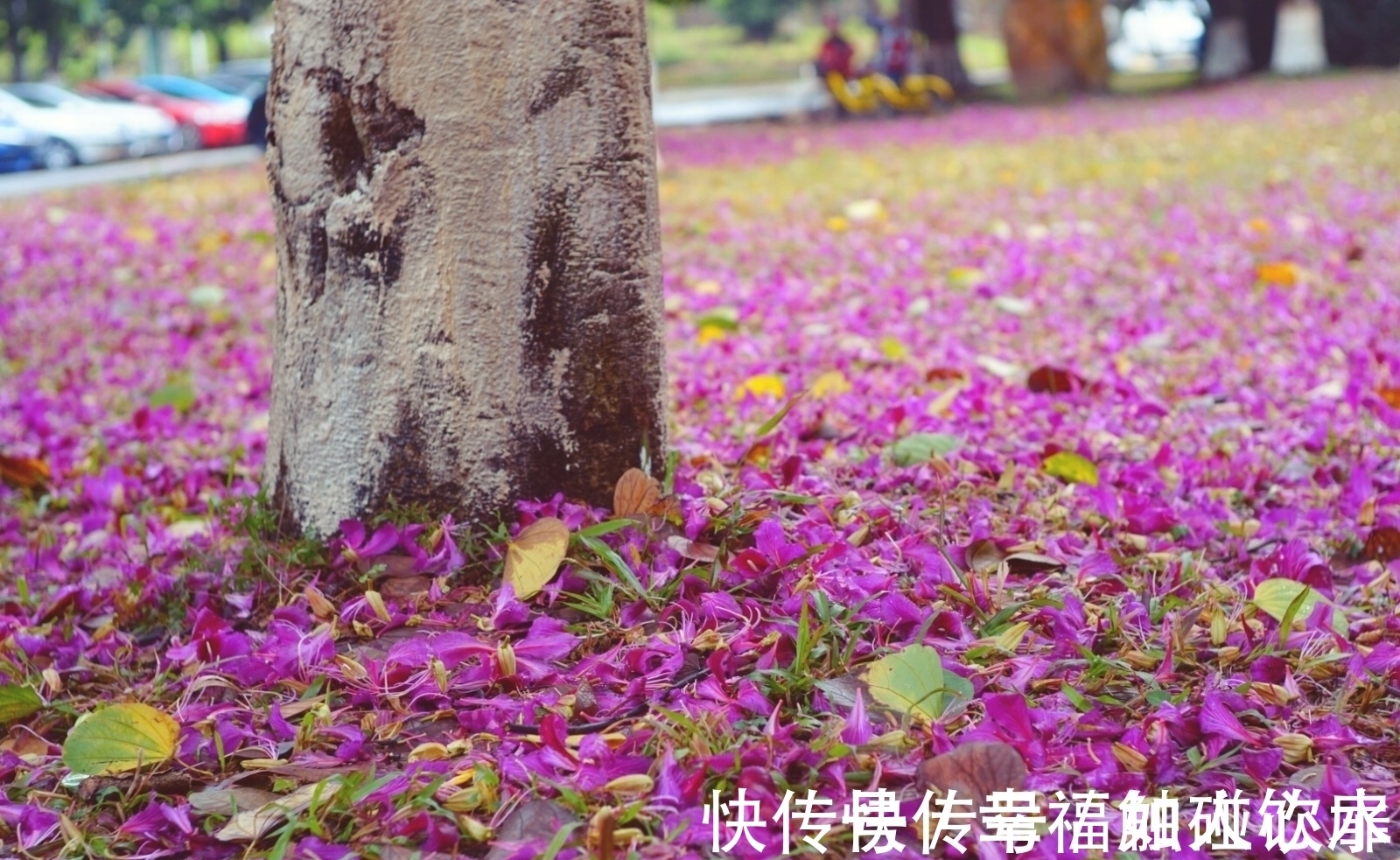 宋朝!唐诗、宋诗之外,水平最高的格律诗是哪5首?并进行排名