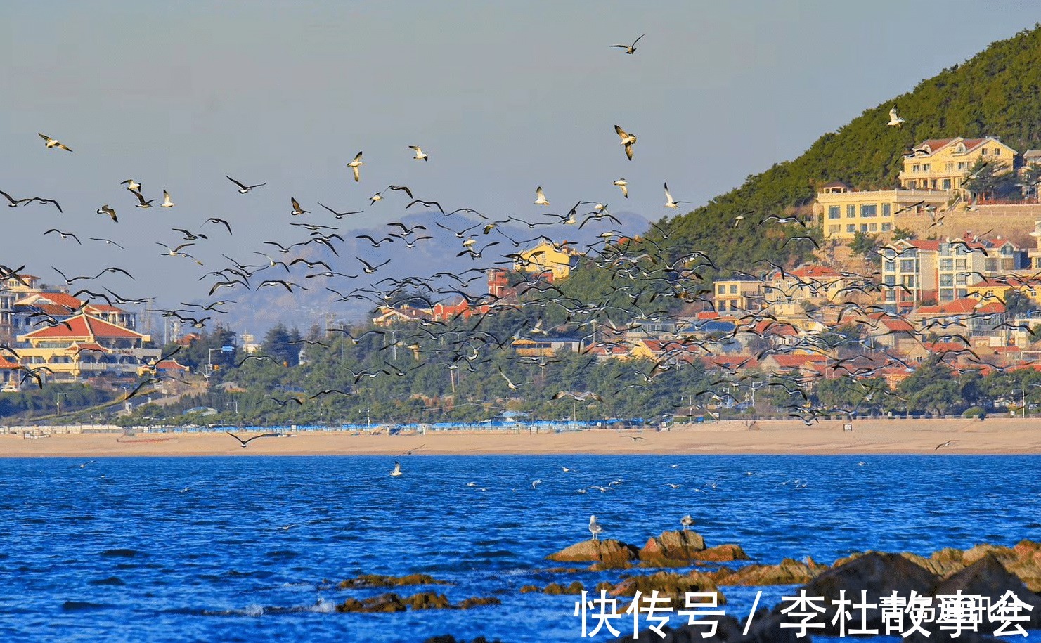 房地产|二手房停贷，狂风暴雨还是脚都没湿