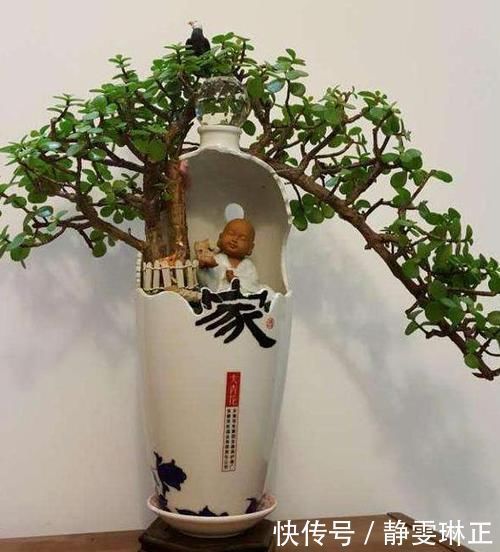 家里养花怎能少了它们！当花盆，独特、美观又省钱！