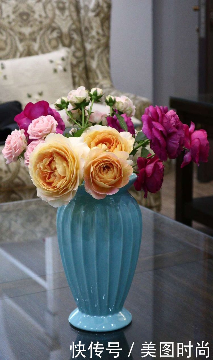 洋房|为了可以养花,我建了座小洋房,终于可以打造梦寐以求的花园了