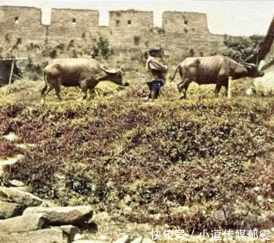 易代|给老照片上色:清末民初易代之时的众生相