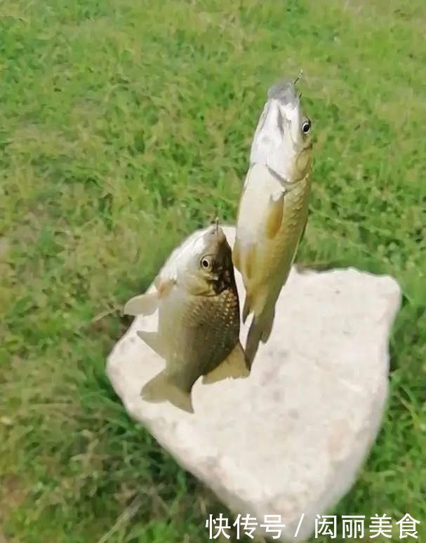 钓友|用小钩细线总是“缠子线”教你几招实用的,保证不打结不缠线