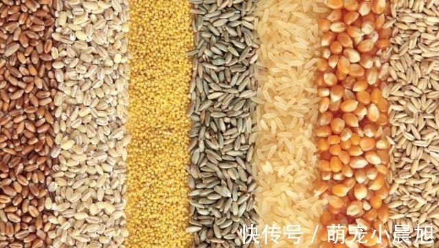 米饭|有4种主食,热量低,脂肪低,代替馒头米饭,难怪怎么吃也不胖