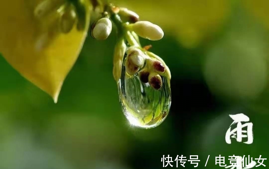 诗人$在关于“雨水”的古诗词中,这首诗尤其美妙,有多少人读过?
