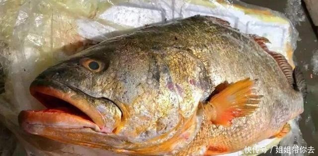 日本|俄罗斯有鱼子酱,法国有鹅肝,日本有和牛,那中国有什么顶尖食材