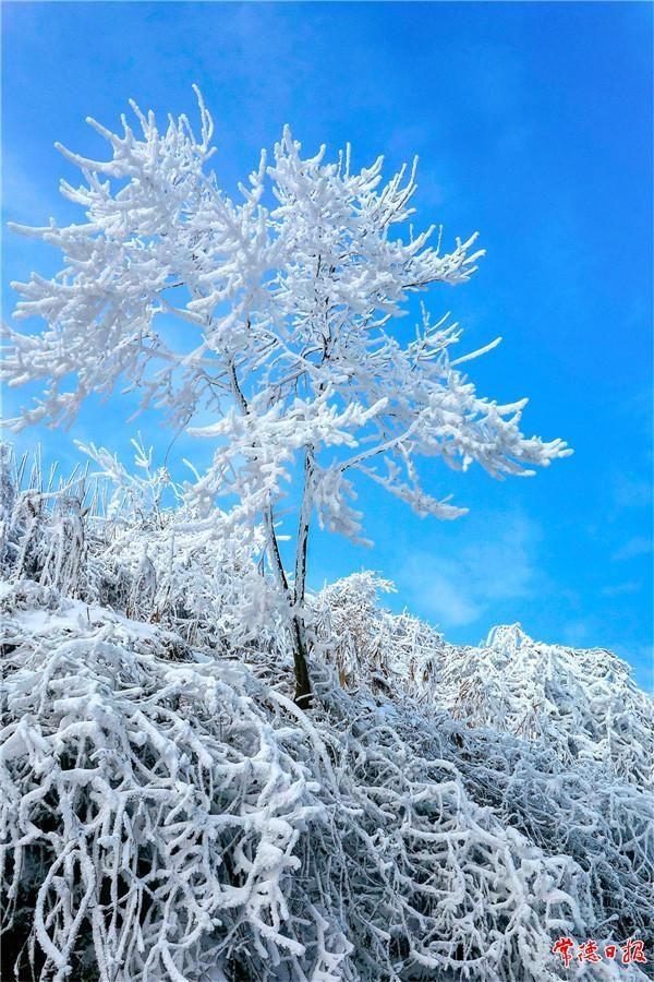 发现|发现常德之美：东山峰看雪