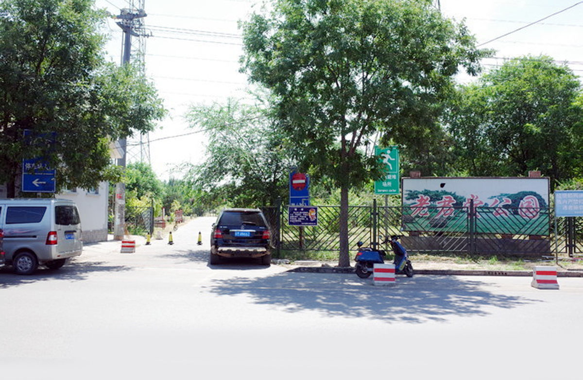 北京小众赏花地，二月兰花海迎客，免费景美，可惜没水