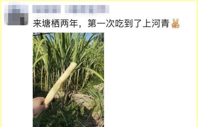 余杭人的心头好,即将上市!曾经风靡全国,很多人小时候都吃过!