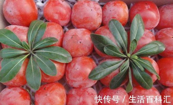 老太|女性最好的零食，不想老太快秋后多吃，补血活血，健康好气色