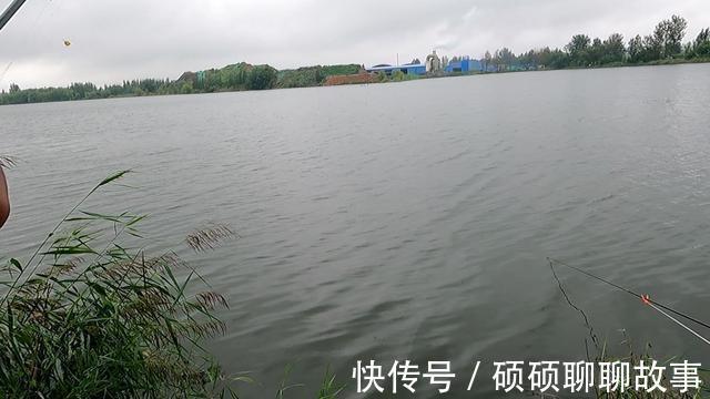 为了几条便宜鱼，硬生生把自己送进了班房，钓鱼人的天堂遭破坏