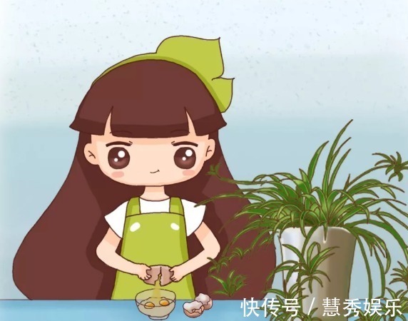 还在用清水浇绿萝别傻了，绿萝是个“大酒鬼”，一小勺就爆盆！