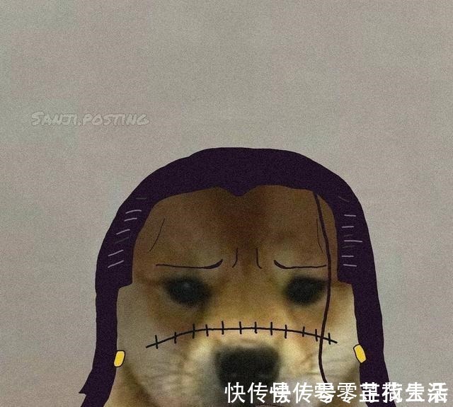 狗狗|海贼王狗头系列,9大角色神还原,狗圈的COS大佬掌握角色精髓