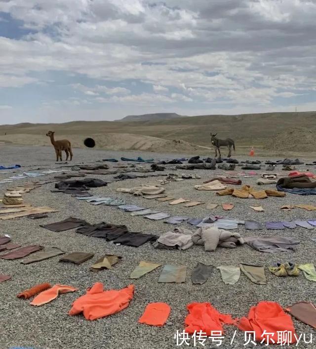 Yeezy x GAP 曝光,50刀不能更多了