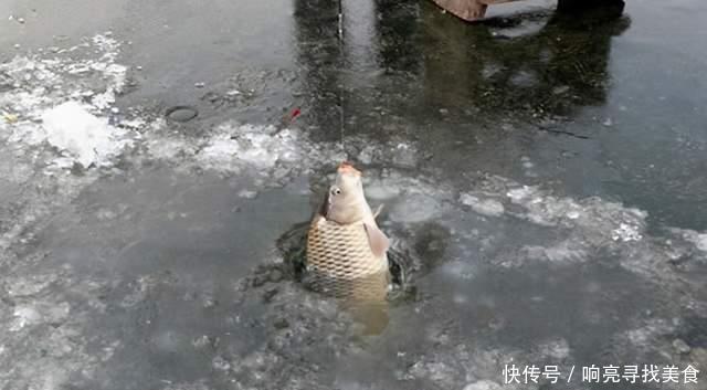 搅拌均匀|野外冬钓鲫鱼,用饵就两招,要么甜、要么腥,鲫鱼排队来给口