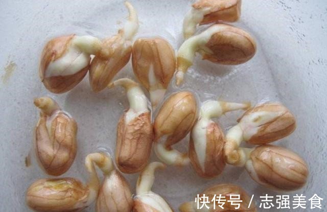 茄碱|4种食物发芽后,不仅没“毒”,营养反而增加